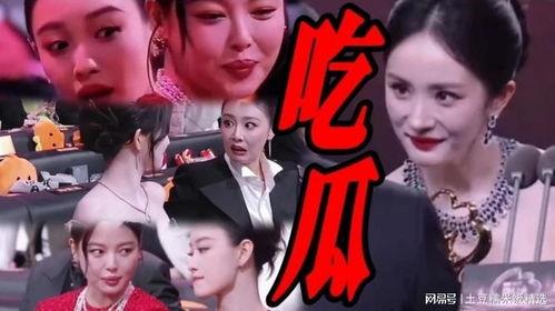 娱乐圈吃瓜在线看,在线观看热门事件解析